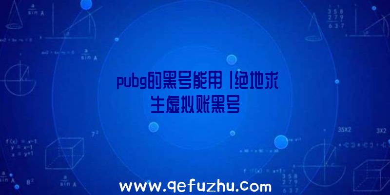 「pubg的黑号能用」|绝地求生虚拟账黑号